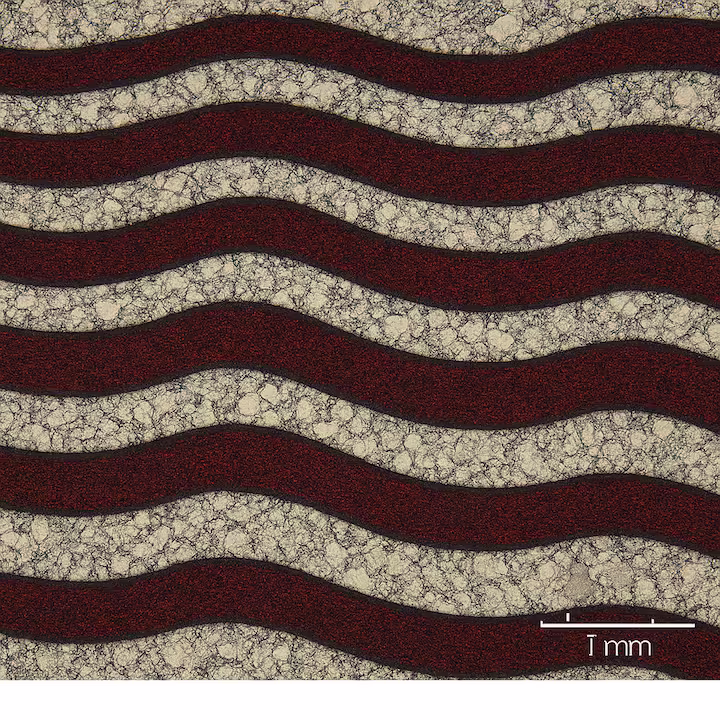 microscopic view